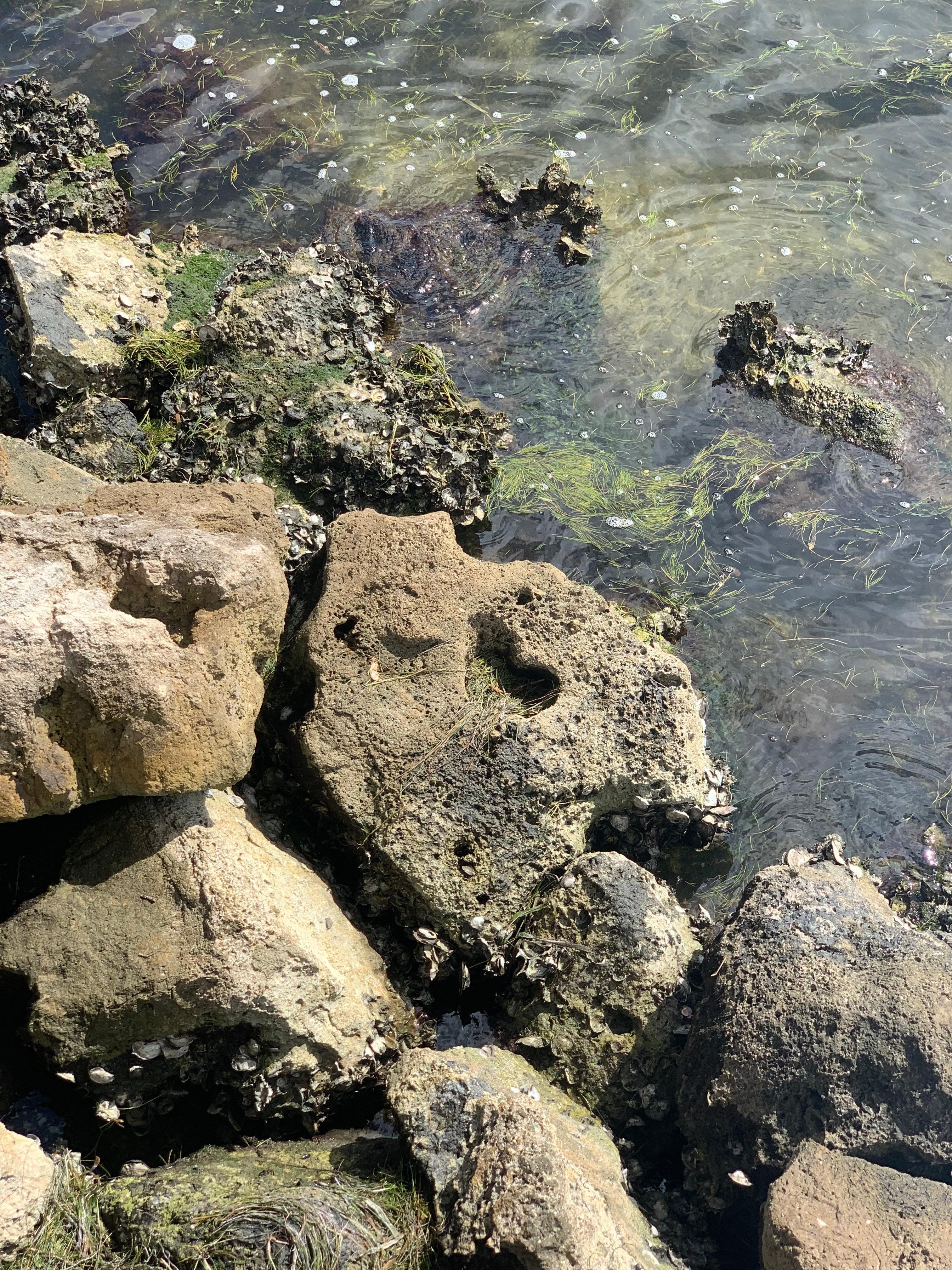 Off the pier the heart rock 