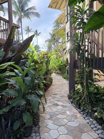 Beautiful landscaping