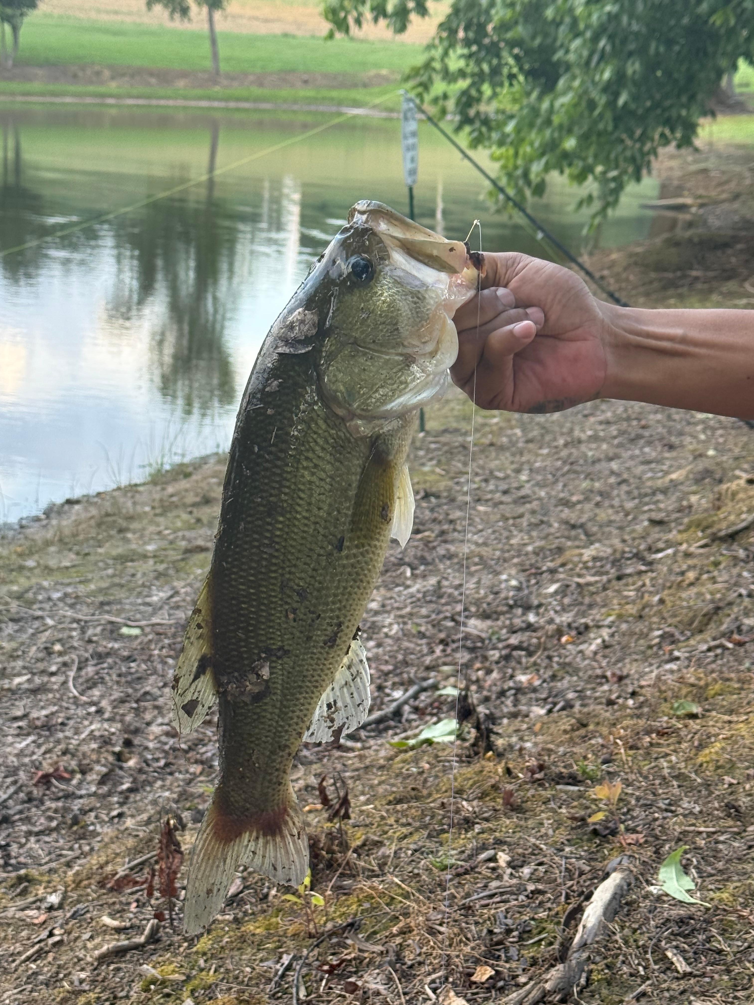 A small bass we caught. 