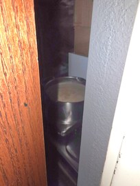 Open pot of oatmeal in a closet overnight. Completely disgusting