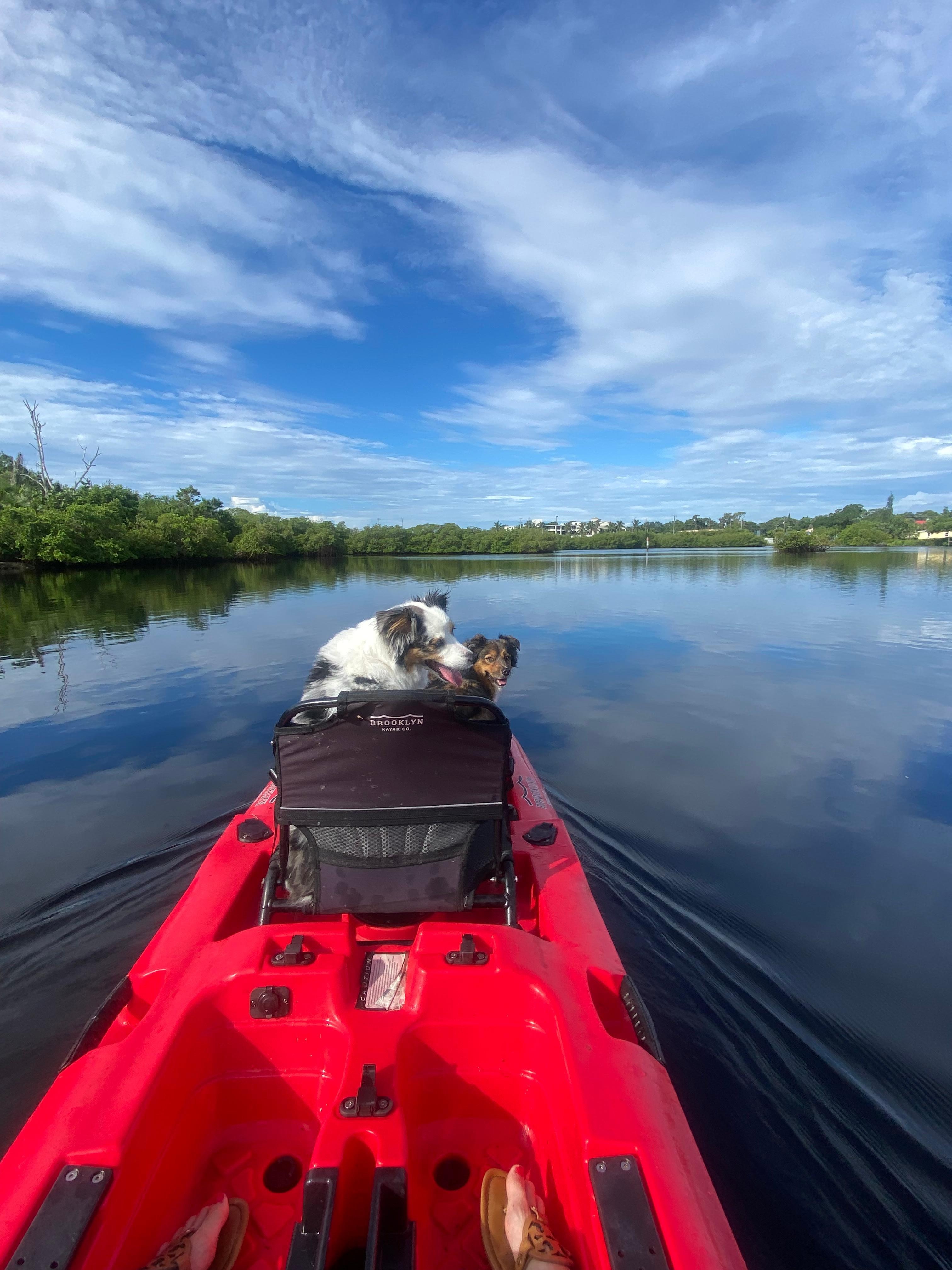 Kayaking with the pups!