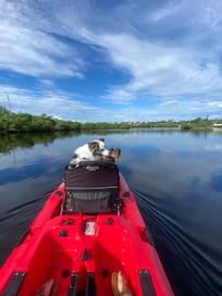 Kayaking with the pups!