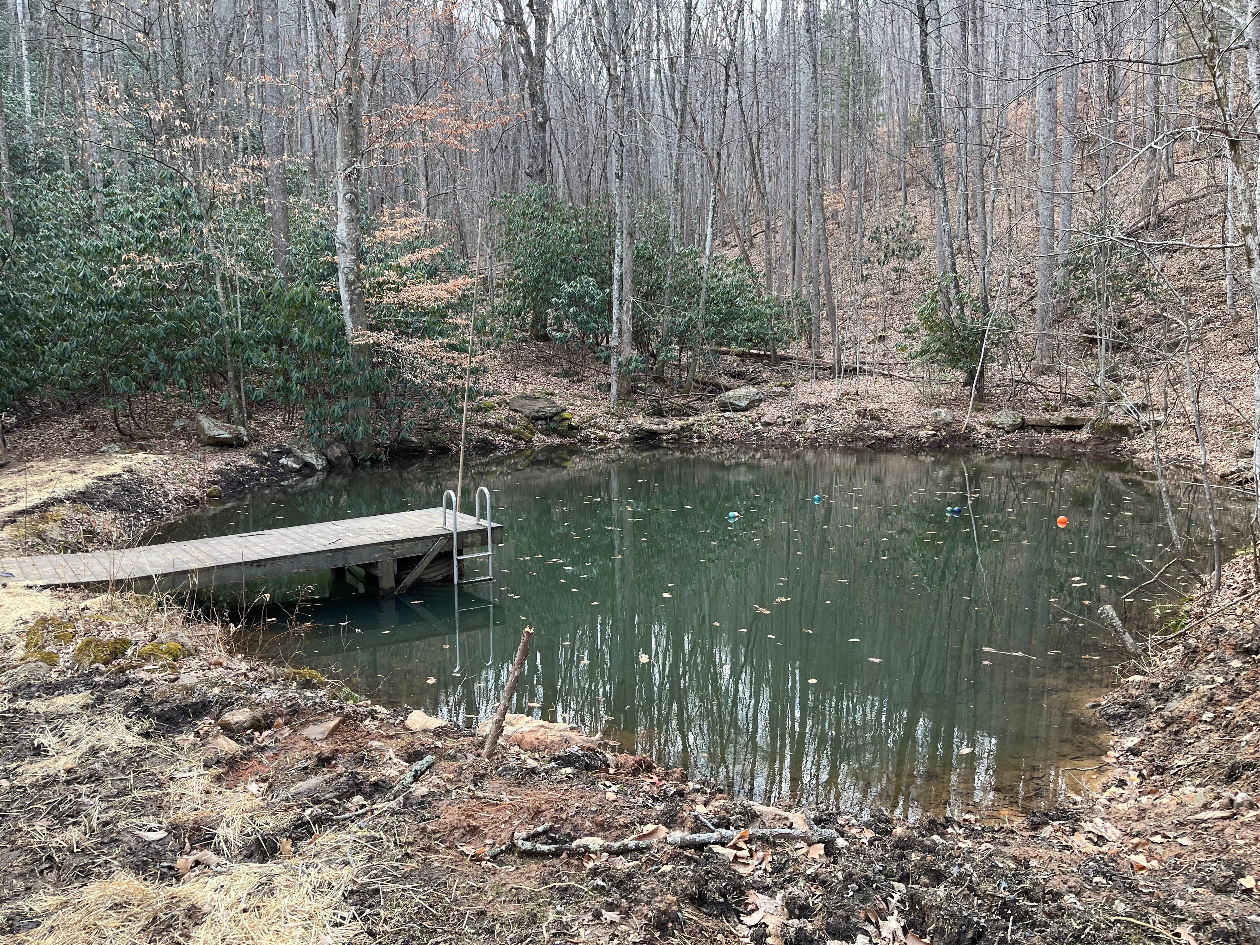 Plunge pond and feeding the fish.  