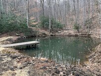 Plunge pond and feeding the fish.
