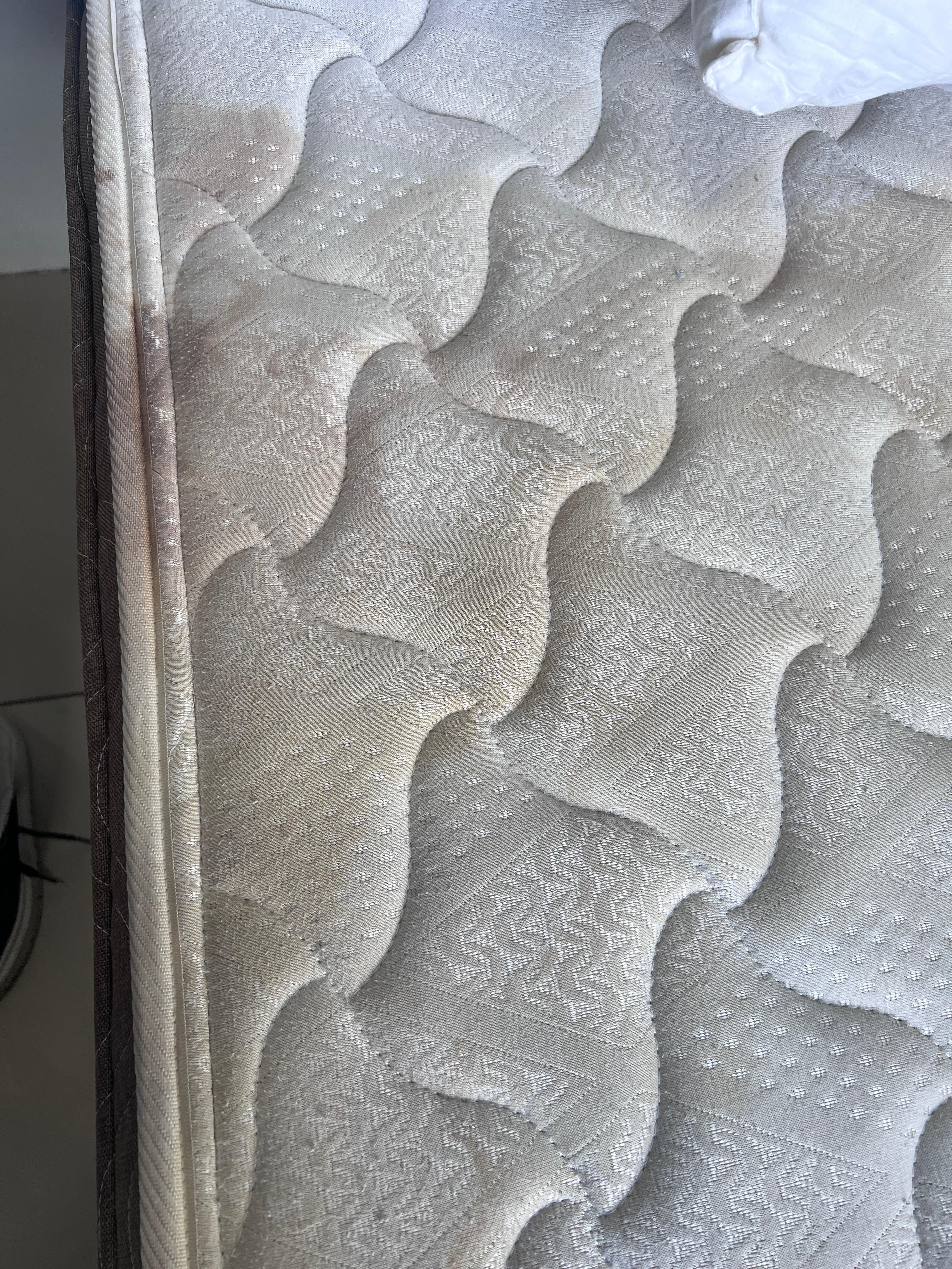 This is the stained mattress. This alone will reflect the rest of what I stated in this review