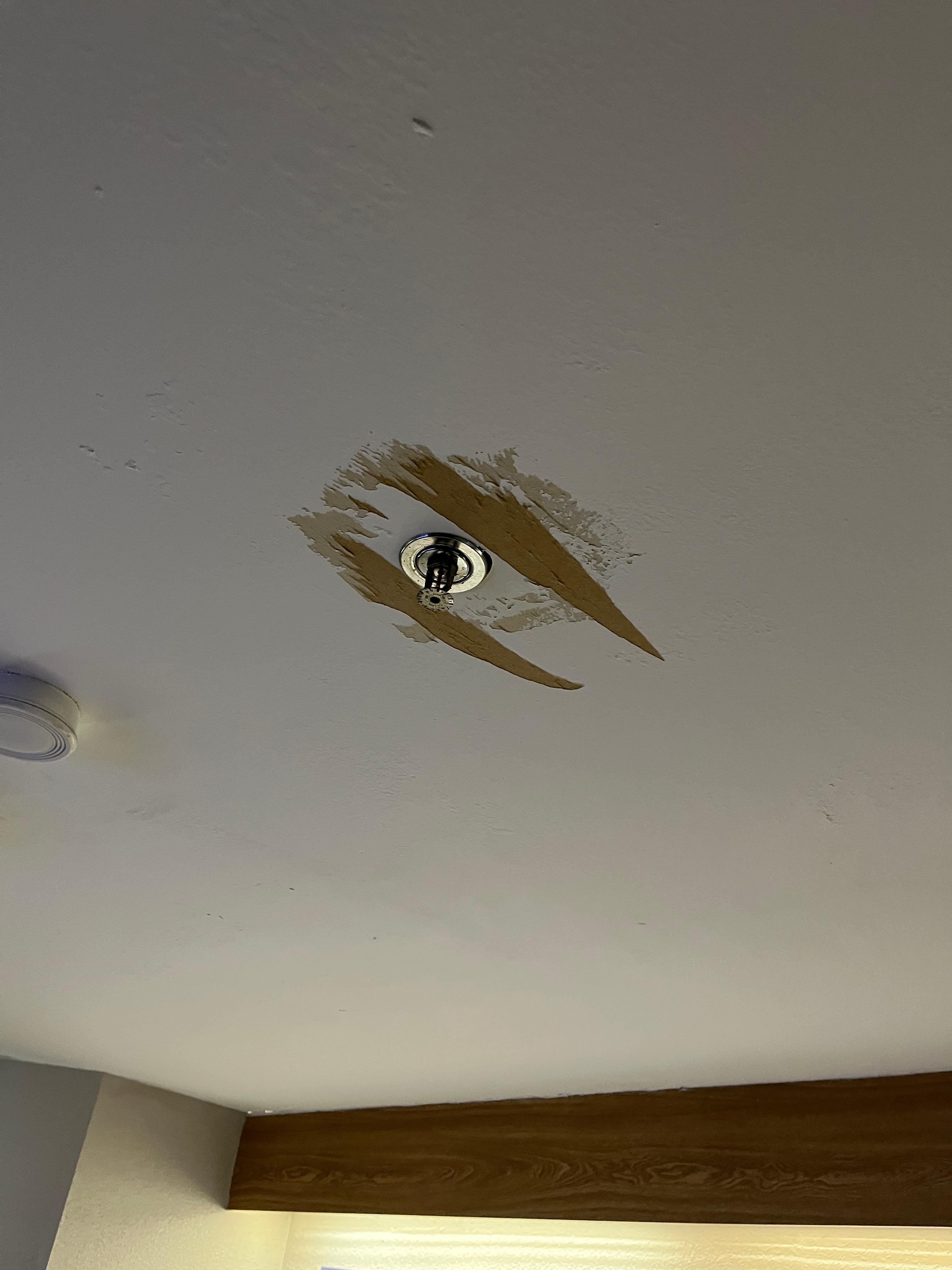 Drywall ceiling was in disrepair