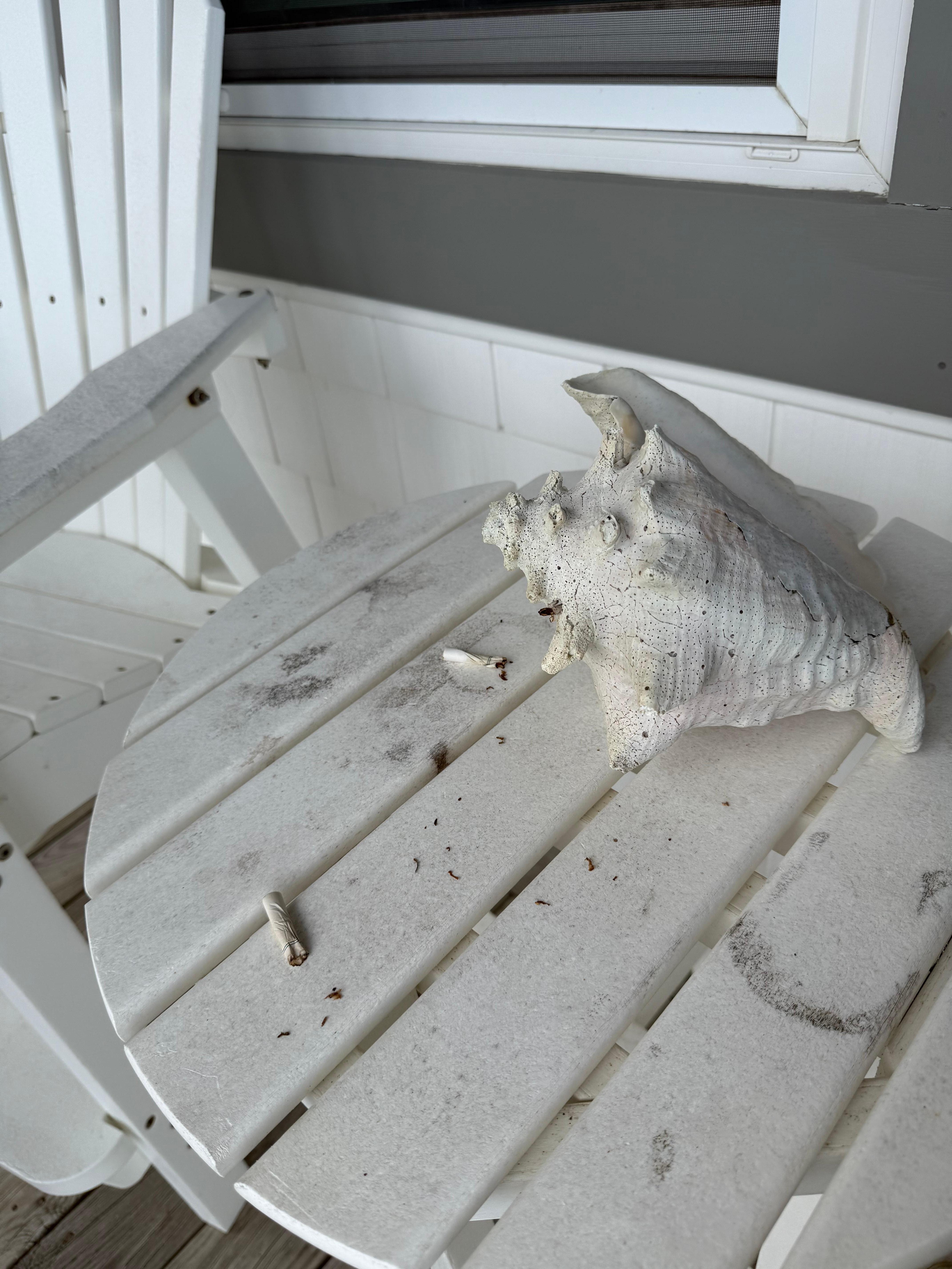 Cigarette butts that my daughter stumbled upon on the non smoking property 