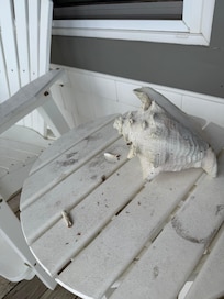 Cigarette butts that my daughter stumbled upon on the non smoking property