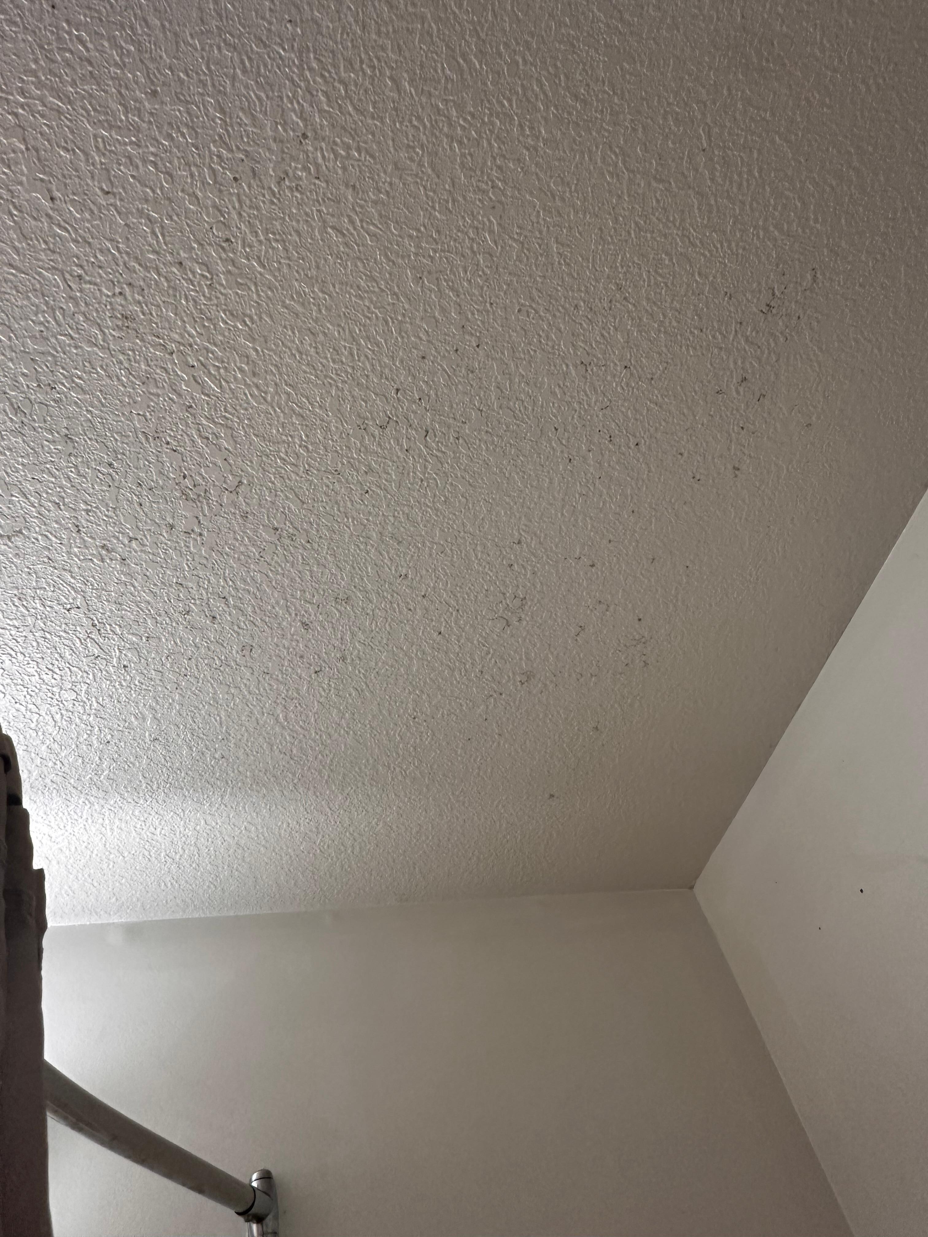 Black mold