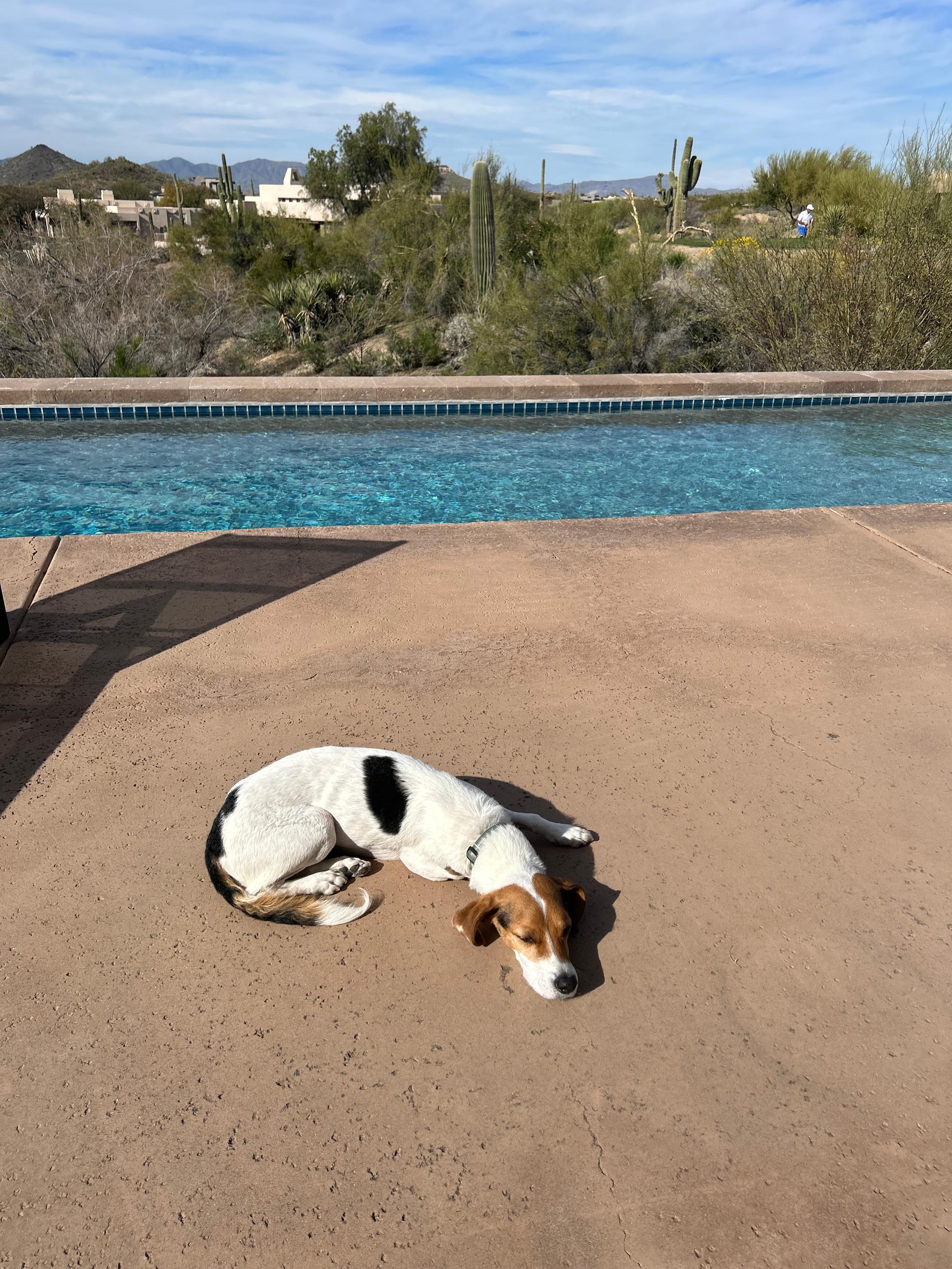Chadwick, would spend almost his entire day outside lounging by the pool. 