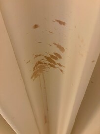 Stain on the curtain to the balcony. The hotel is nice but I was expecting more.
