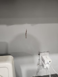 wall with stains