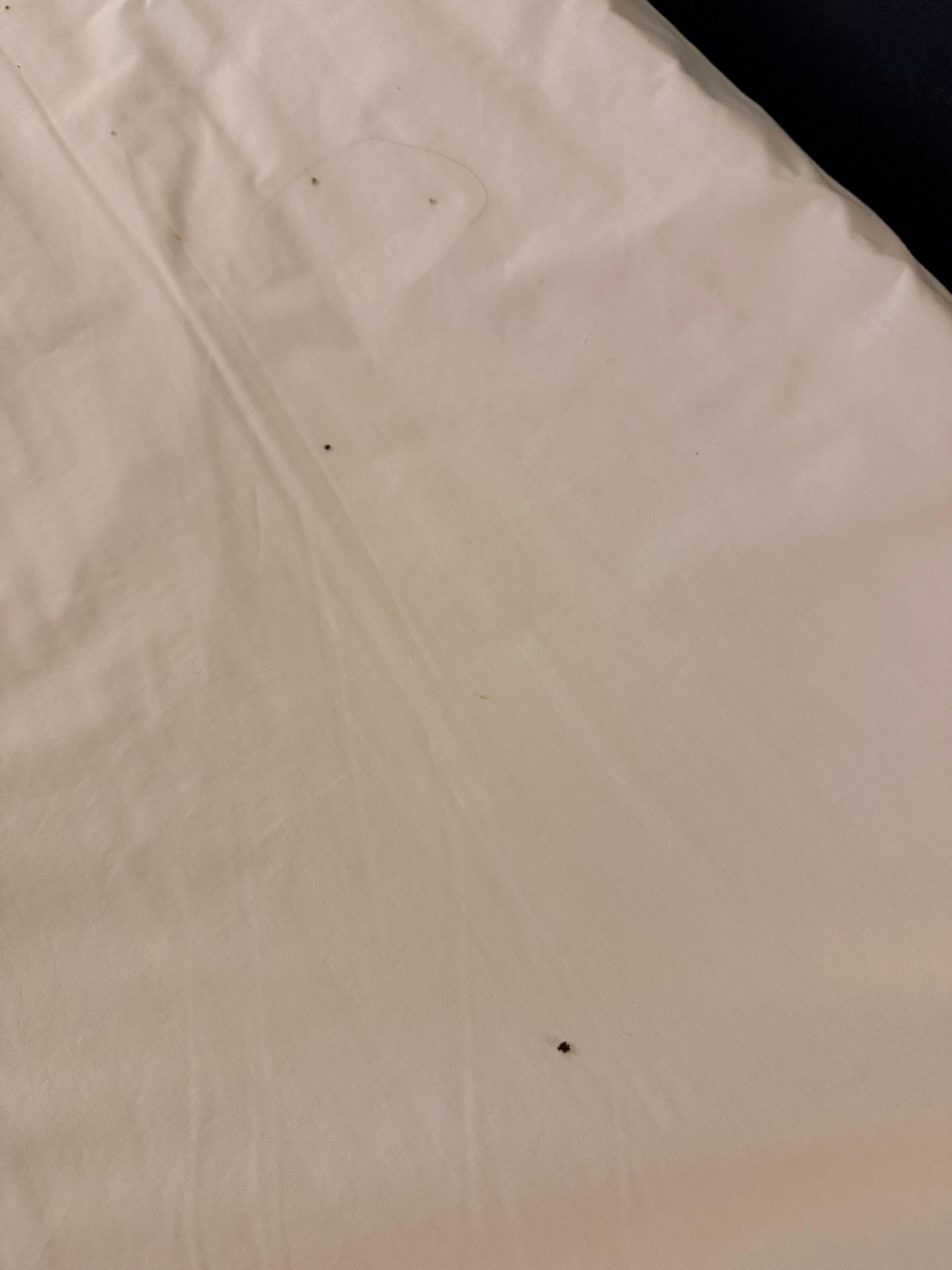 Dirty sheets 
