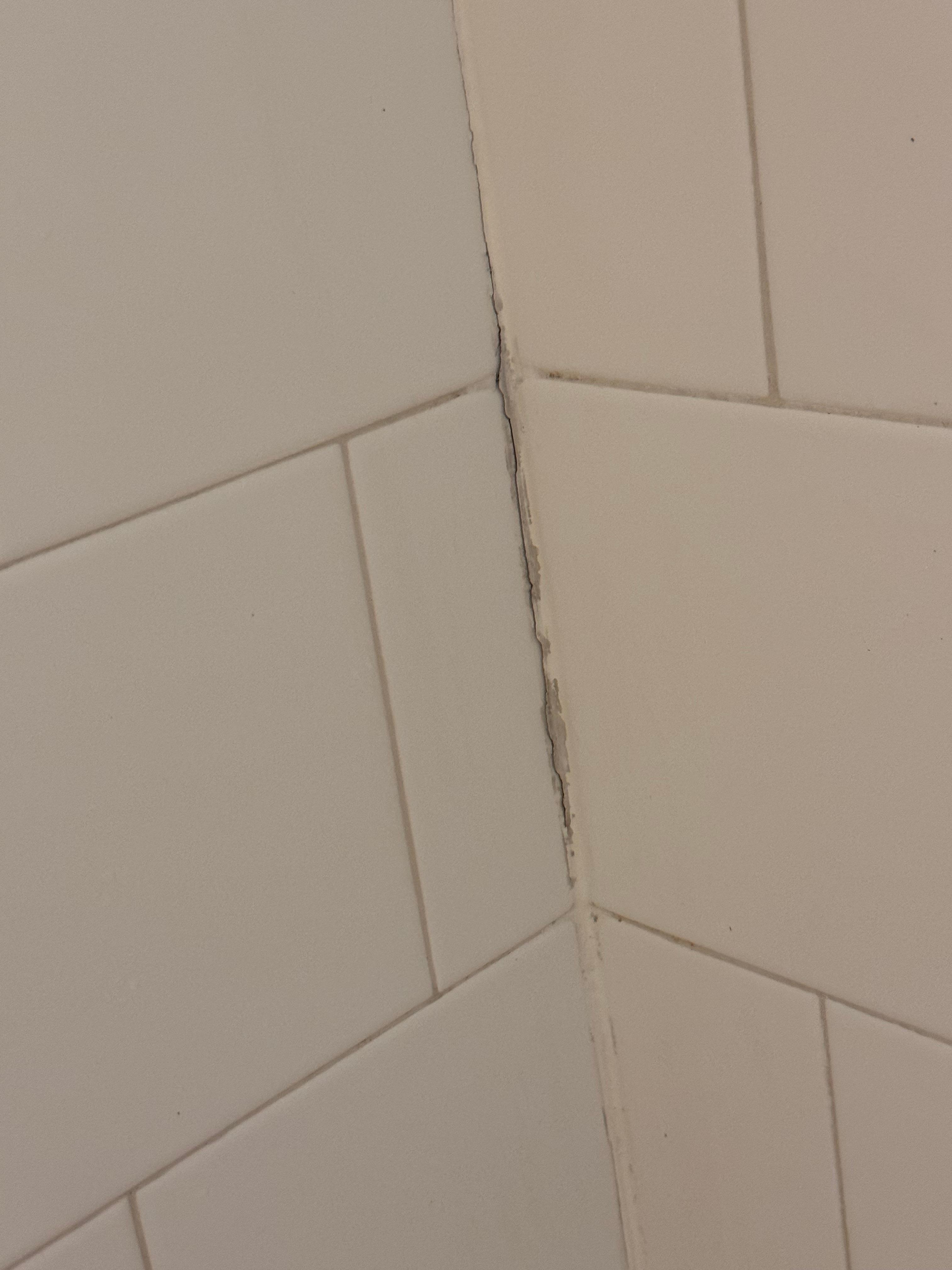 Mildew