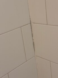 Mildew
