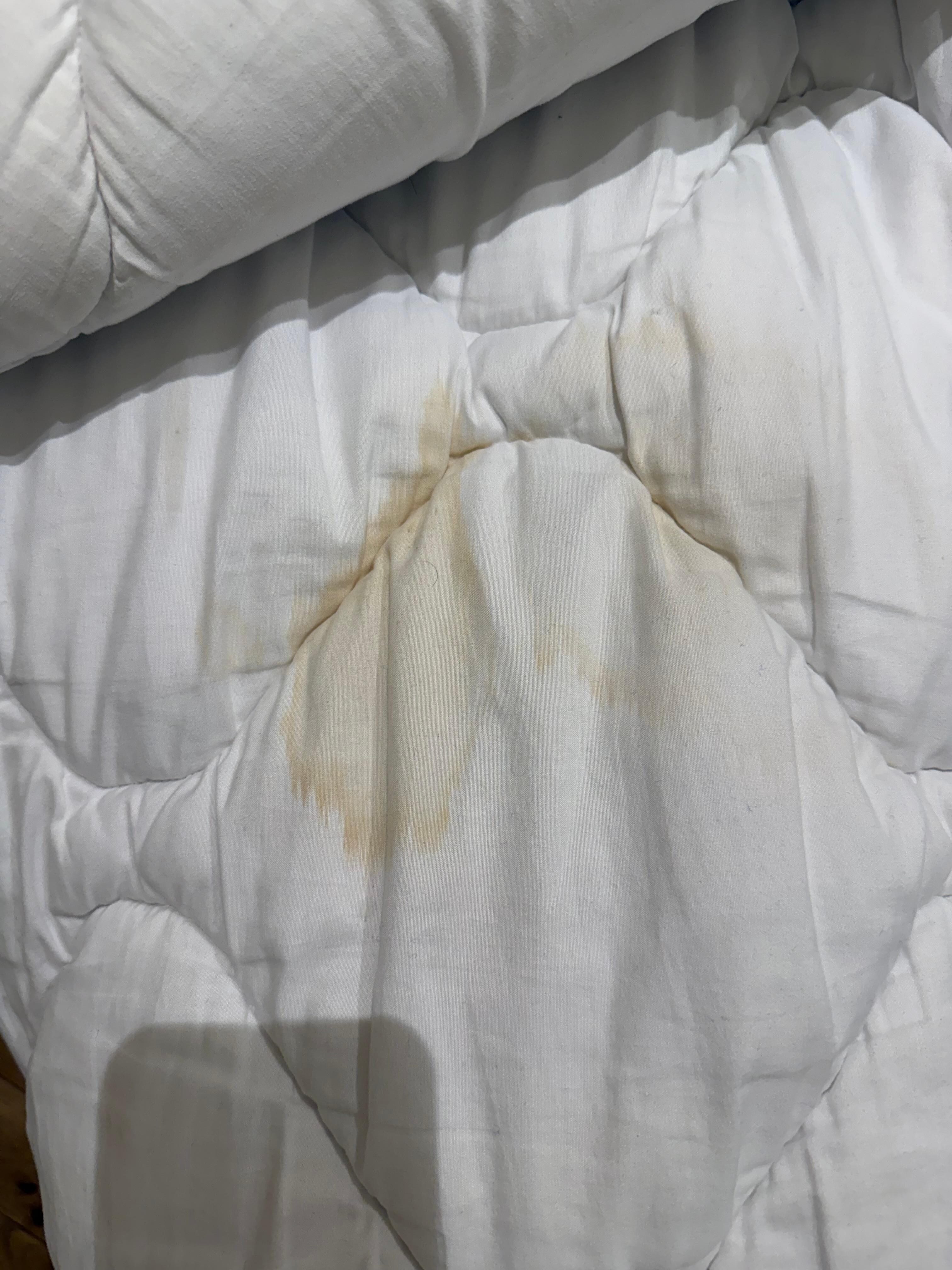 Soiled comforter 