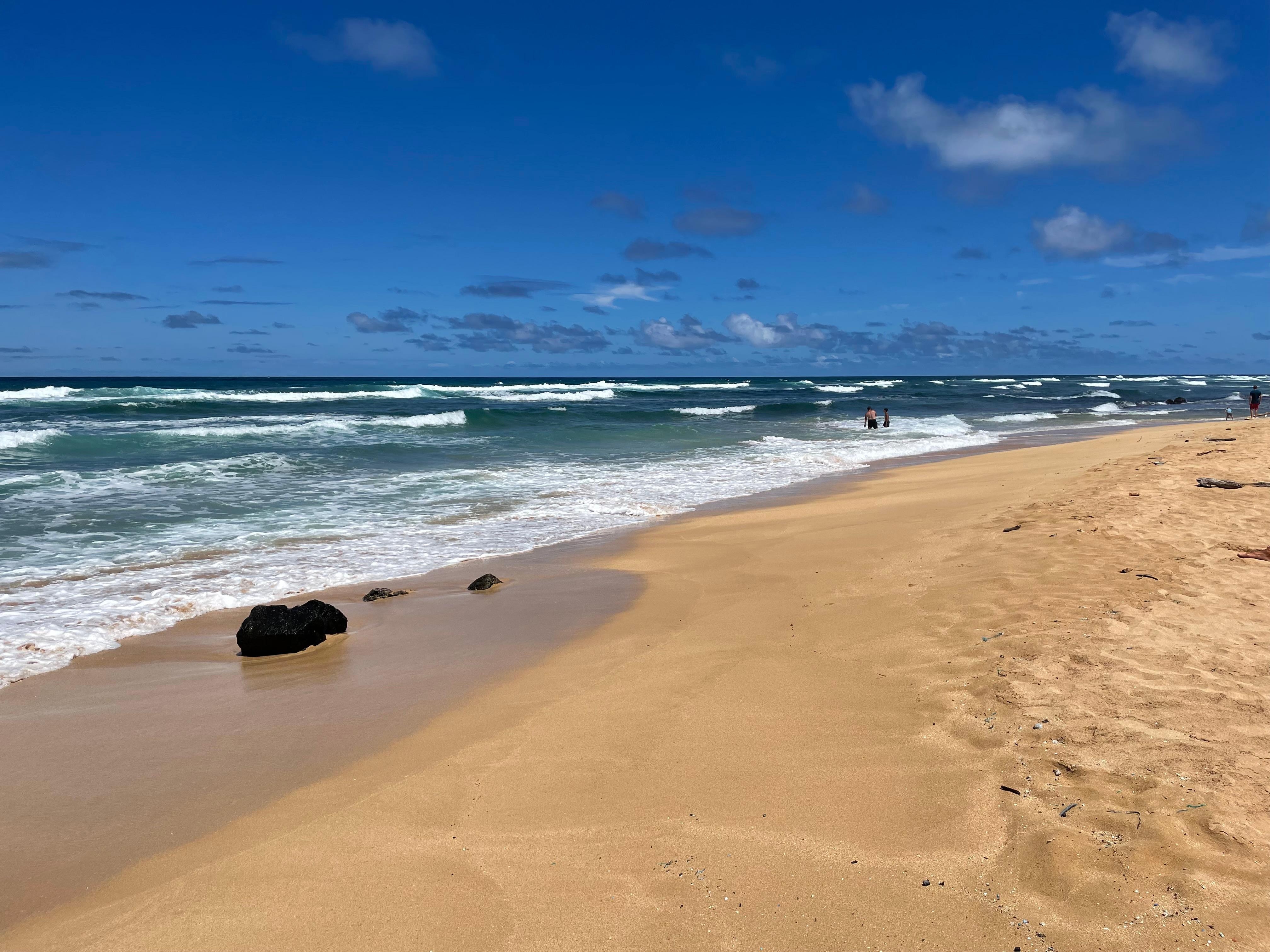 Beach behind the units