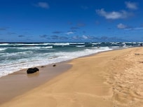 Beach behind the units