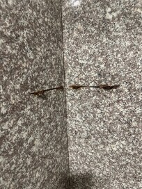 Missing shelf and no repairs