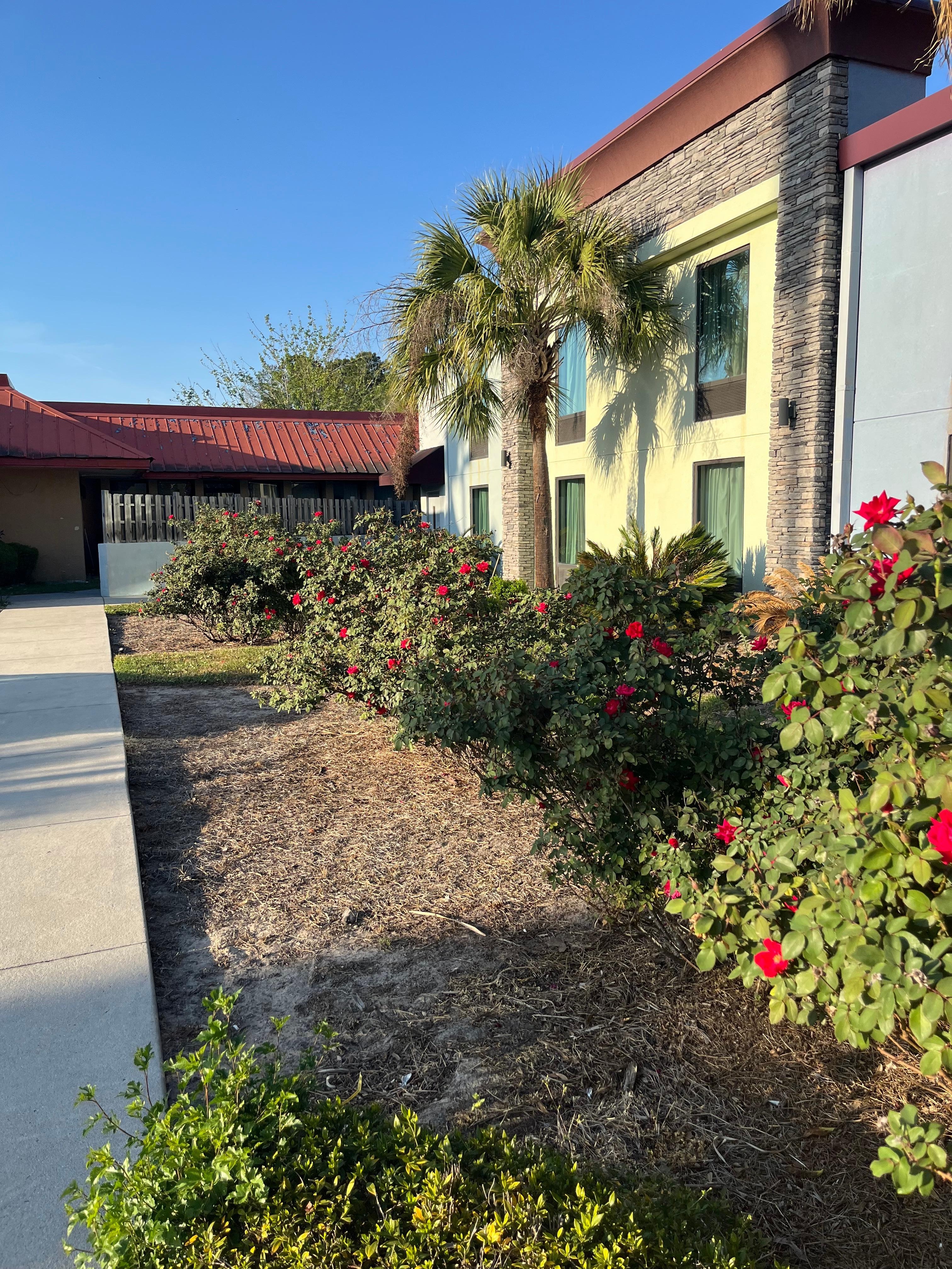 Grounds were beautiful and smelled wonderful. Has 2 dogs and we had a room near the back close to a great area for them.