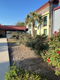 Grounds were beautiful and smelled wonderful. Has 2 dogs and we had a room near the back close to a great area for them.