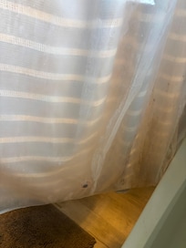 Moldy shower curtain