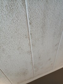 Mold on ceiling.
