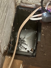 bug tray next to fridge