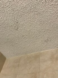 Black mold on bathroom ceiling