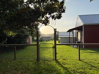 View from dining room