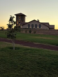 Wedding dinner at a winery