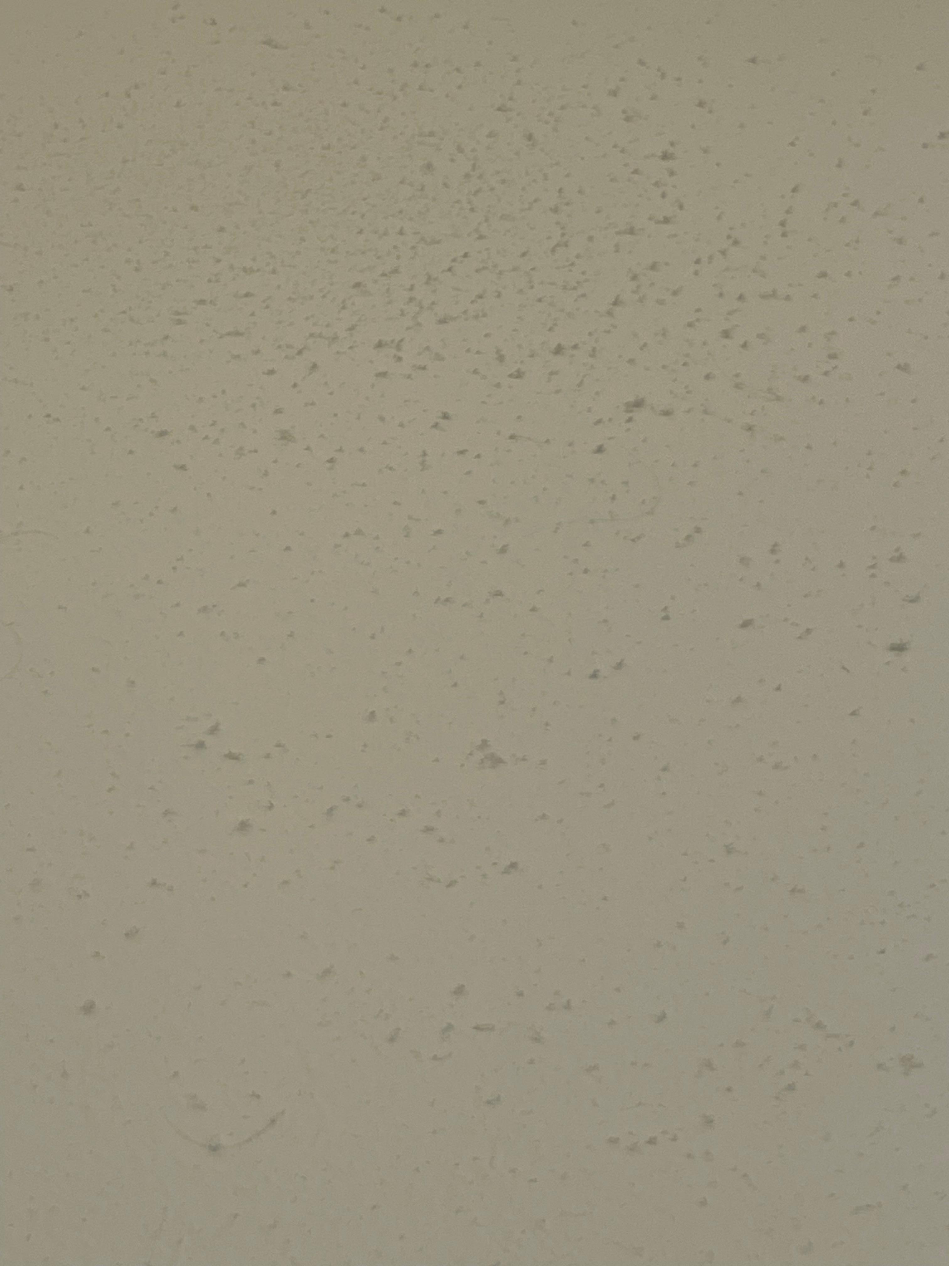 Lots of dust on walls