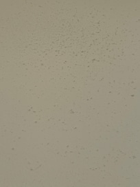 Lots of dust on walls