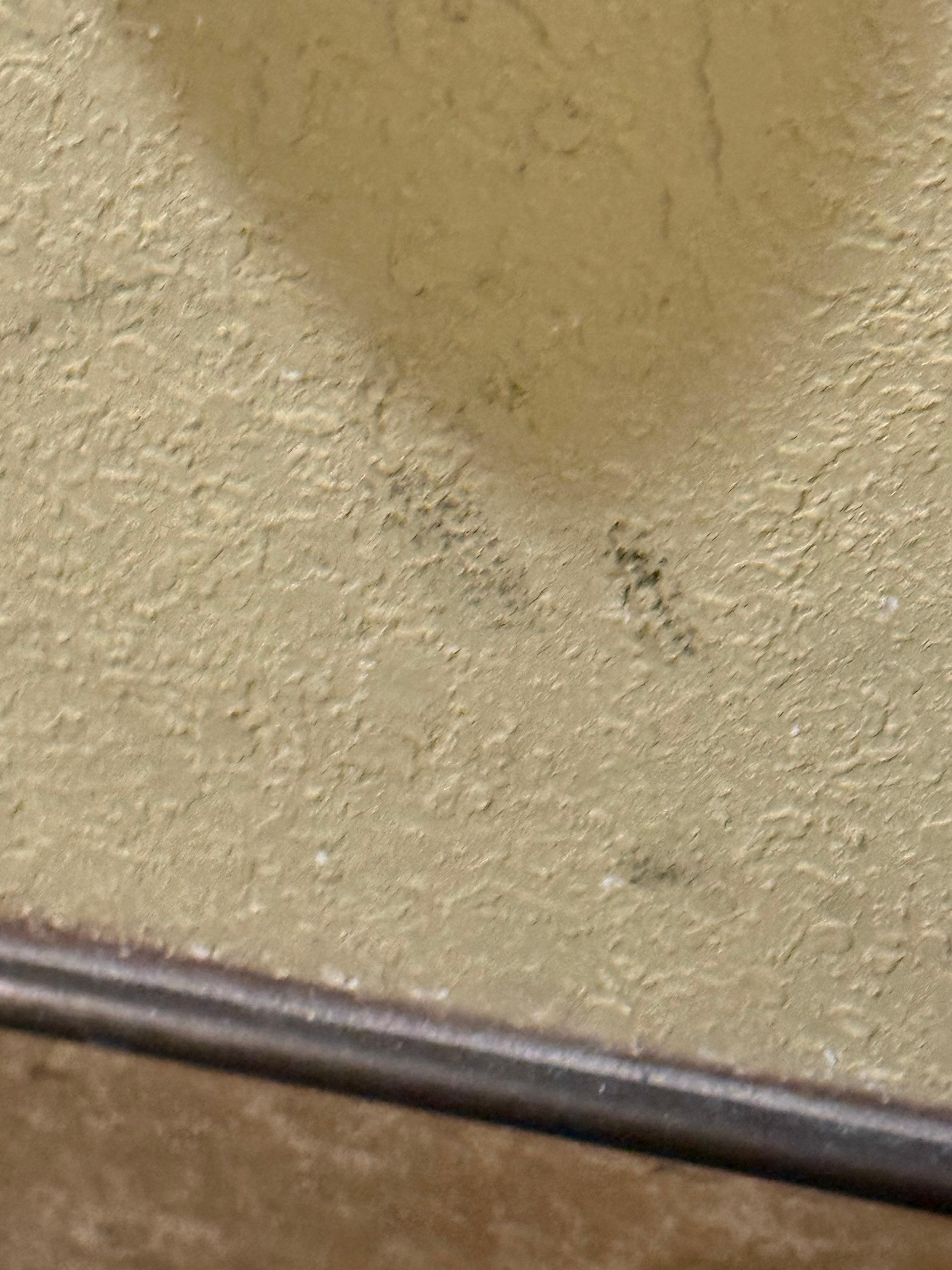 what appears to be mold in the bathroom with the toilet and tub
