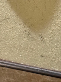 what appears to be mold in the bathroom with the toilet and tub