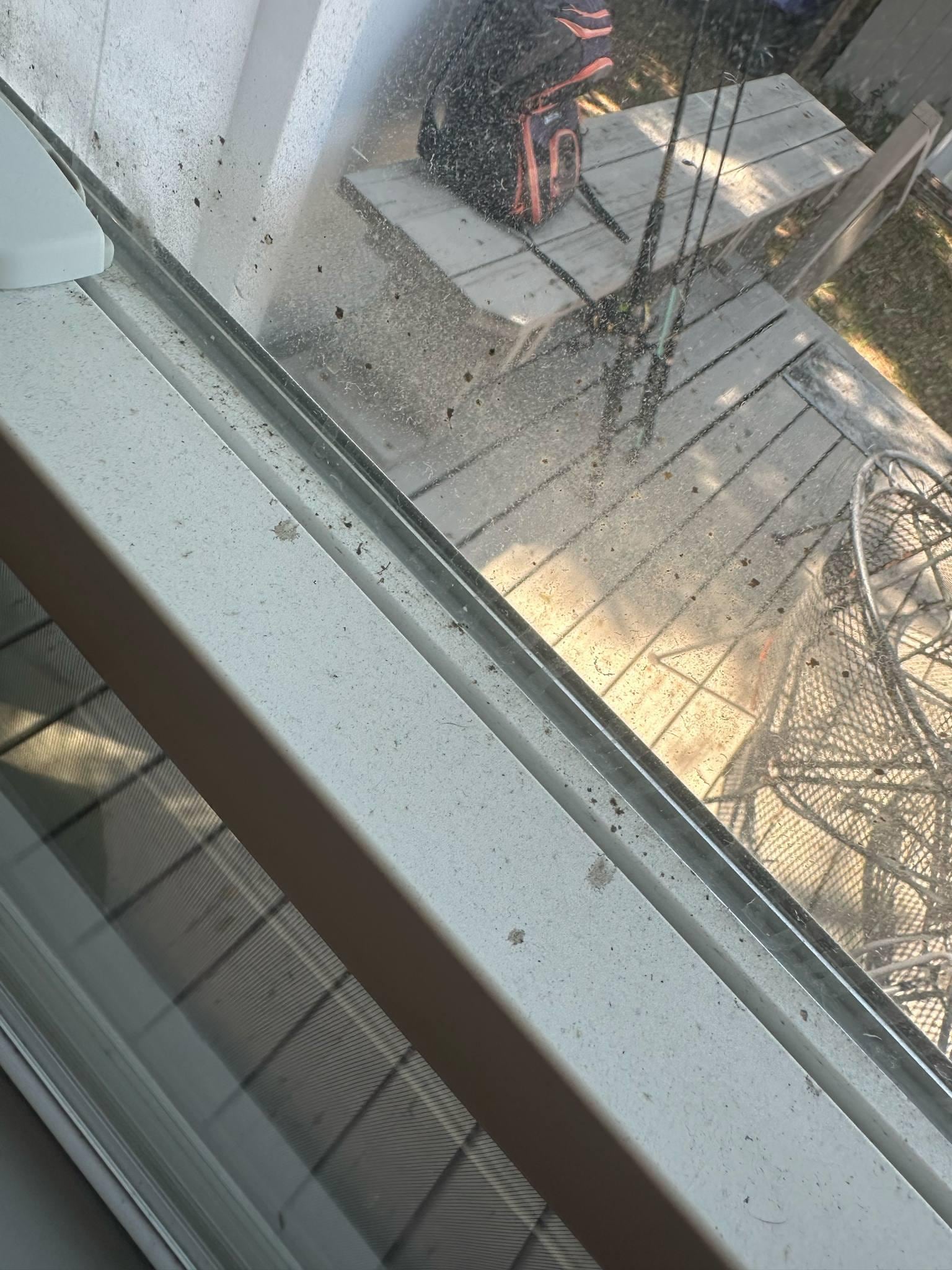 This is a picture of the inside of the windows. The amount of dirt and mold here is a health hazard in my opinion.