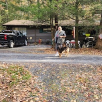 Cabin view, Daddy & Major