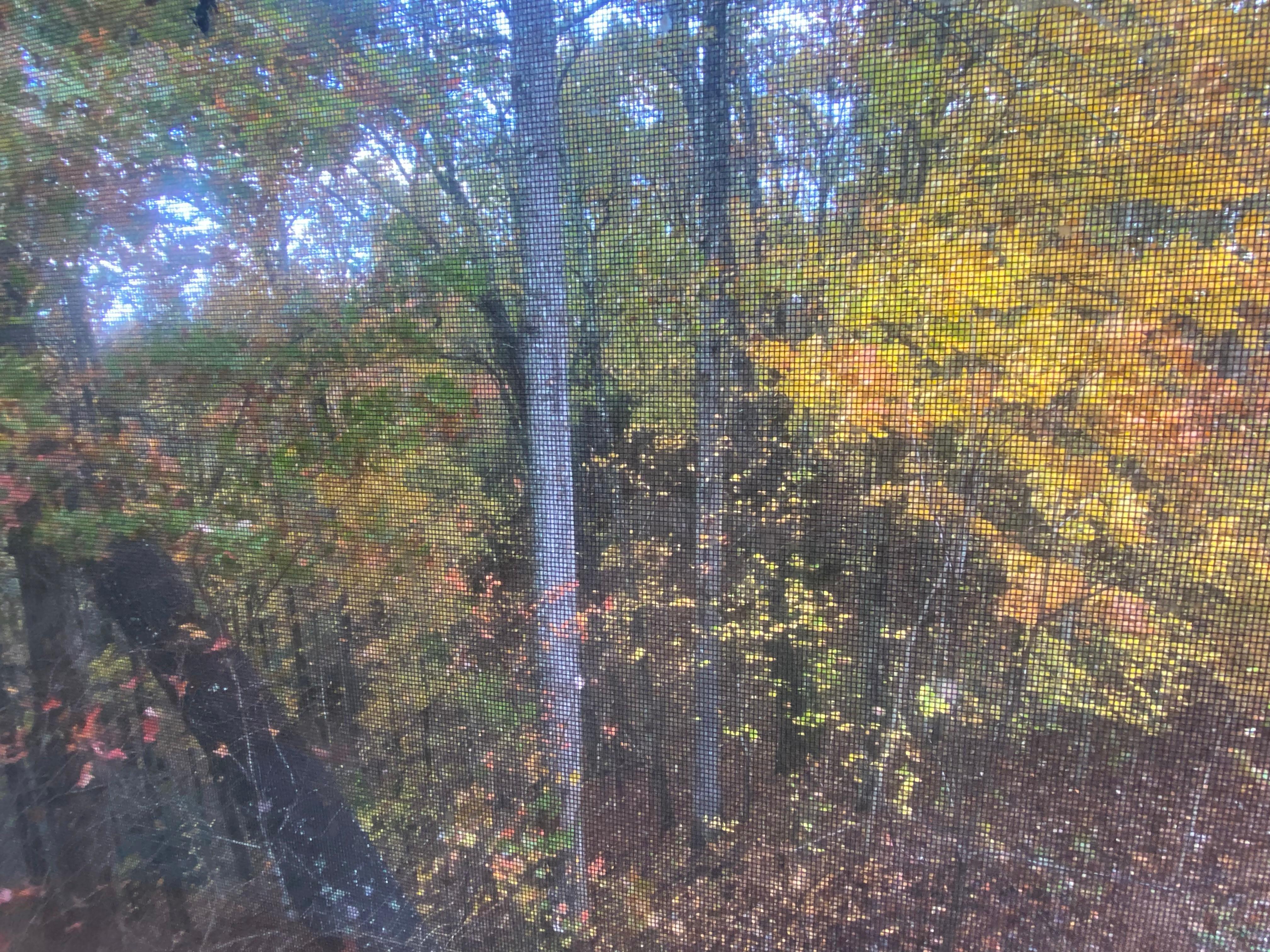 View from our bedroom