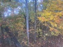 View from our bedroom