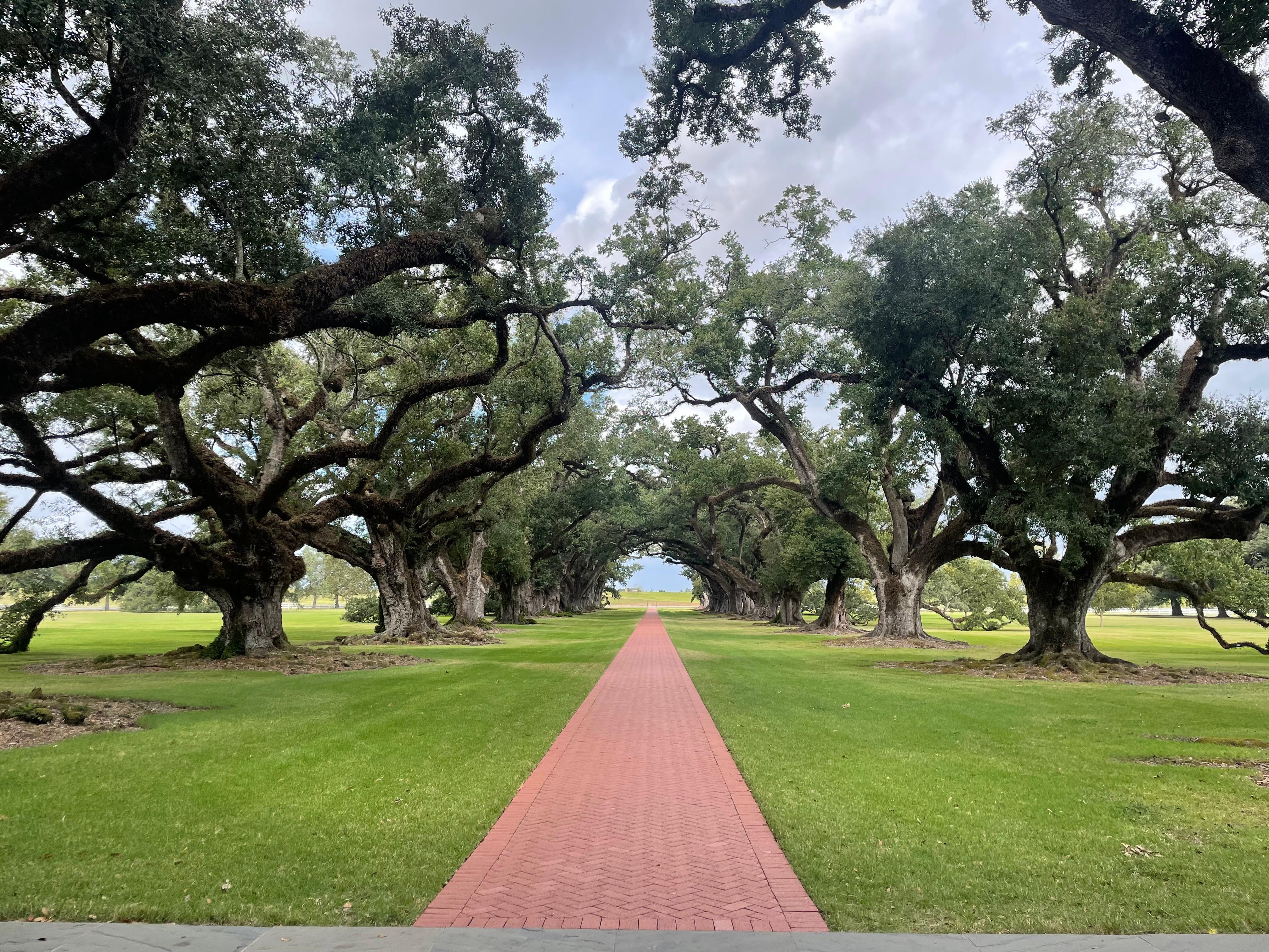 Oak alley plantation