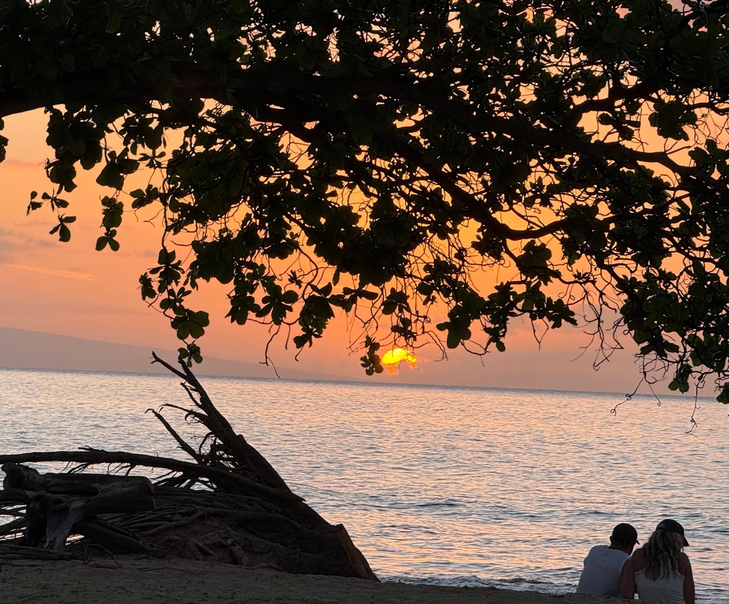 Sunset…who says their isn’t a God?