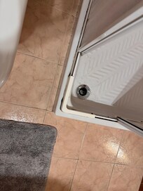 Water from toilet, ingress into the shower