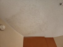 ceiling in living room