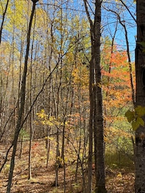 Hiking at Suomi Trails