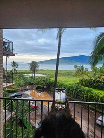 View from the unit when we arrived.