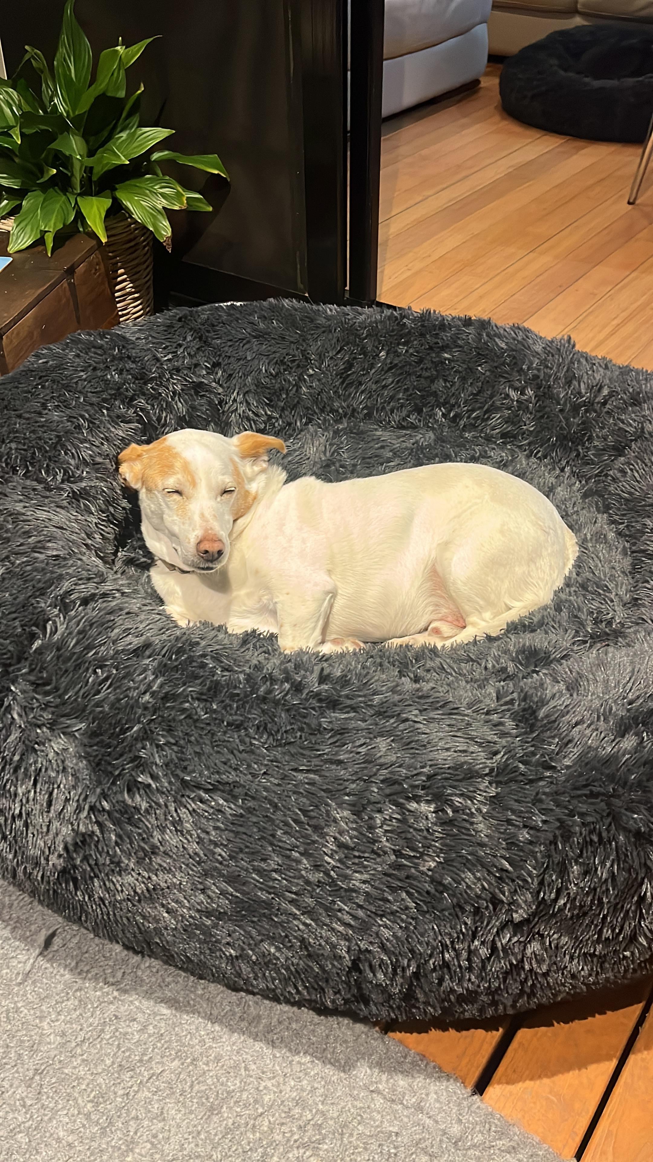 Chilled by the fire, volume 1.