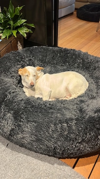 Chilled by the fire, volume 1.