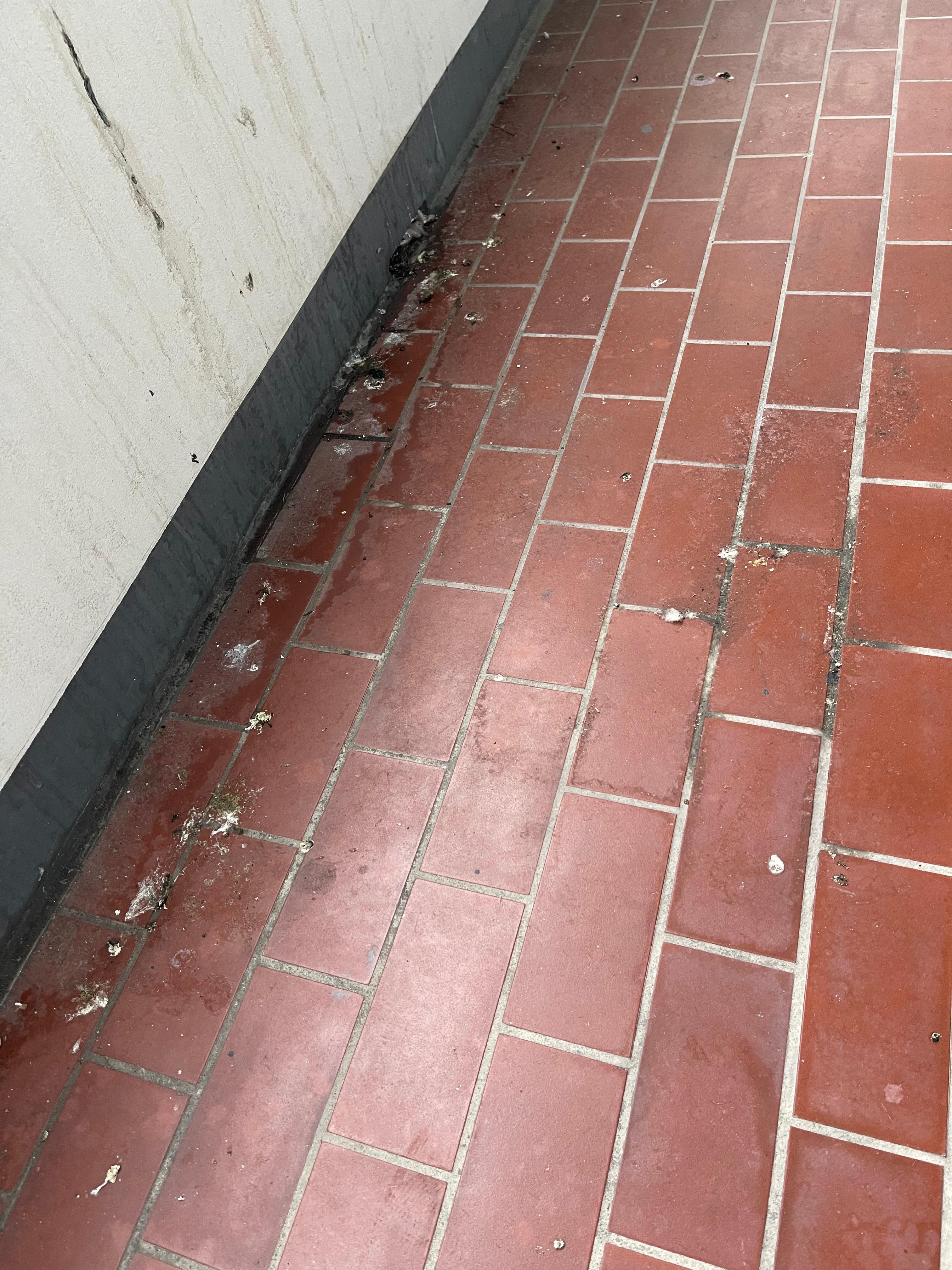 Keine Balkonmöbel, dafür reichlich Taubenkot.