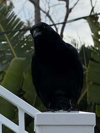 Sweet Rose made our stay even more special.