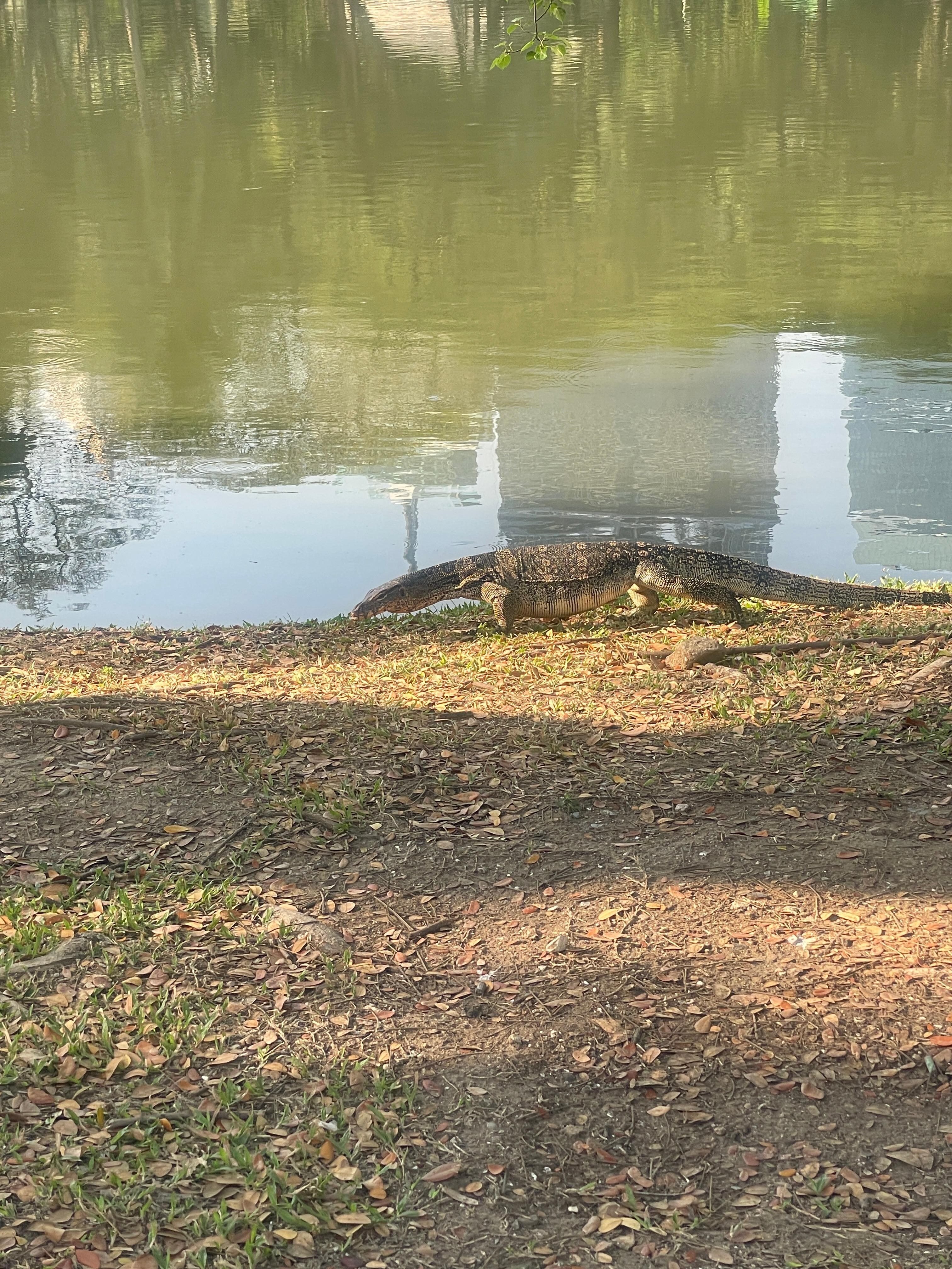 Lumpini Park.. 8 min walk